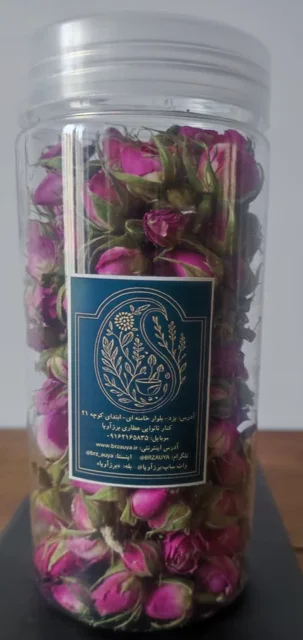 غنچه گل سرخ ایرانی