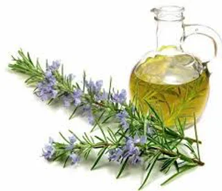 روغن رزماری